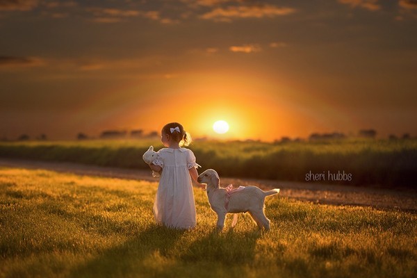 Elena Shumilova    ...    photographies d'art !