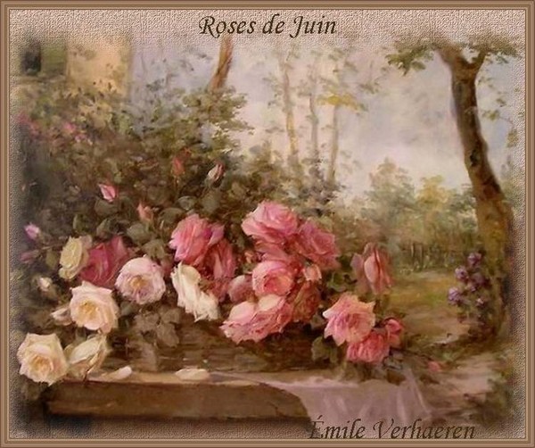 Roses de juin, vous les plus belles  ... Emile Verhaeren  !