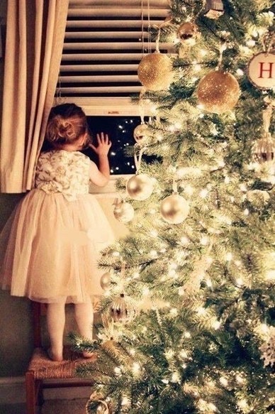 Elle aussi attend Noël    ...   avec impatience !