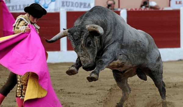 Enfin : La corrida éjectée du patrimoine culturel ! 