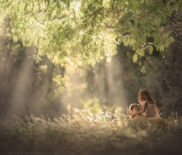 Elena Shumilova   ...    Photographies d'Art !