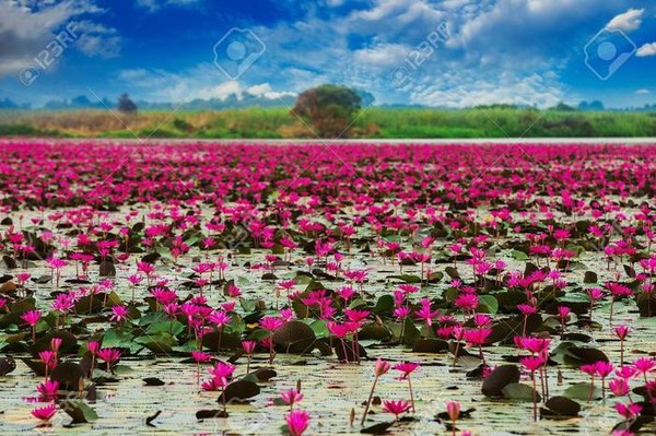 Paradis sur terre : Lac Nong Han en Thaïlande !