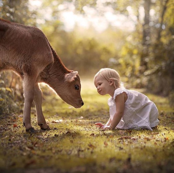 Elena Shumilova   ...    Photographies d'Art !