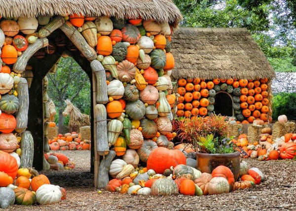 En attendant Halloween ... voici le temps des citrouilles !