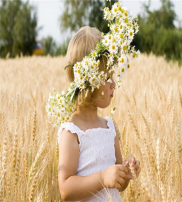 Adorable petite princesse    ...  dans un champ de blé !