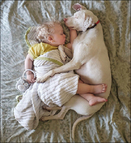 Un peu de tendresse   ...   dans ce monde de brutes !