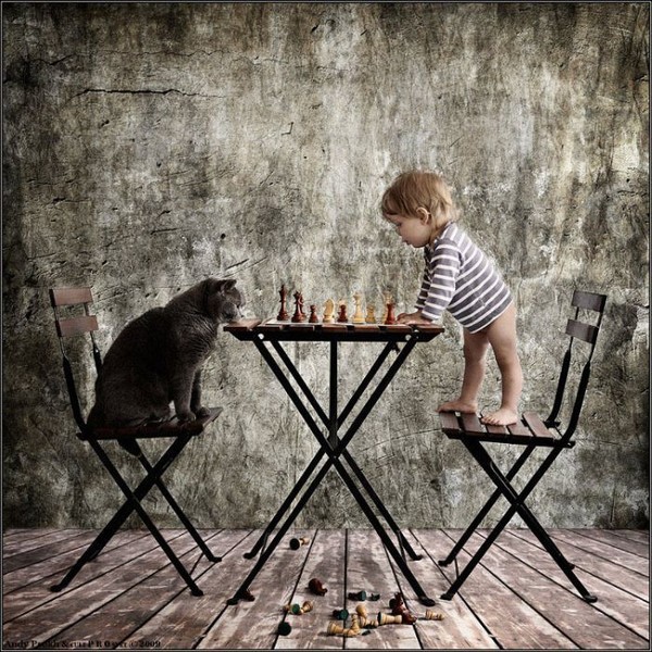 La vie n'est-elle pas aussi    ...  une partie d'échecs !