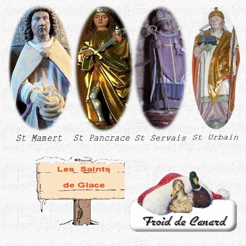 Les Saints de Glace ...  11, 12, 13 et 25 Mai  !
