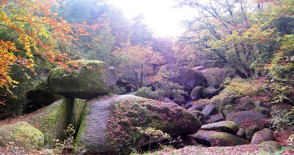 Petite balade dans la forêt du Huelgoat (Finistère sud) !