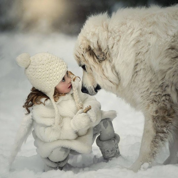 Enfants et animaux dans la neige   ...    même pas peur  !