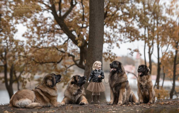 Une adorable petite princesse  ...  bien protégée !