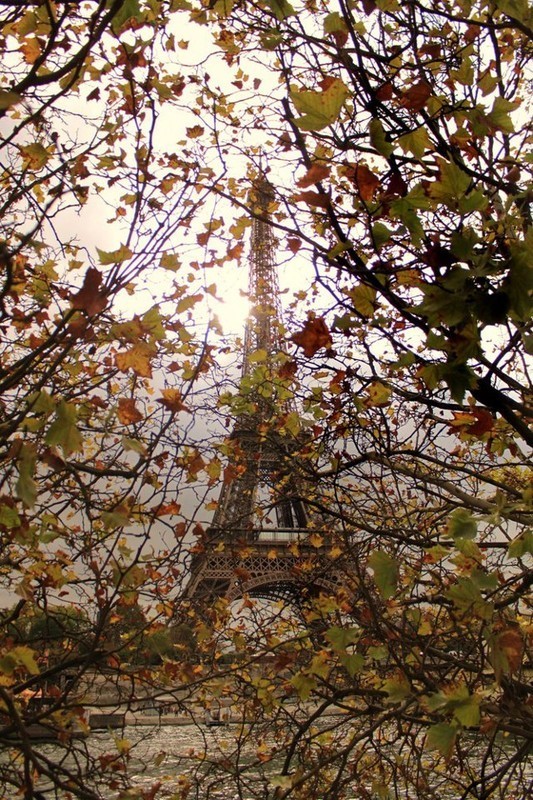 Un bel automne à Paris   ...