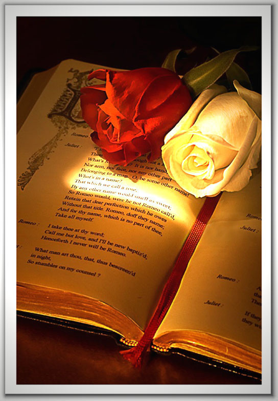 Roméo et Juliette ... livre dédié aux Amoureux !