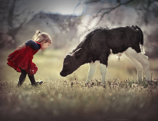 Elena Shumilova   ...    Photographies d'Art !