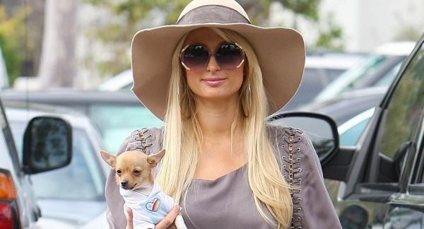 Paris Hilton  ...  et son chien Tinkerbell  !