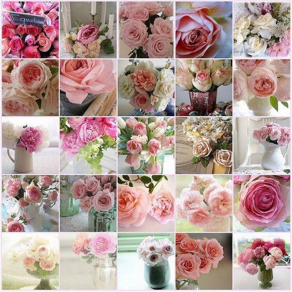 Pluie de roses ... pour vous qui passez sur mon blog !