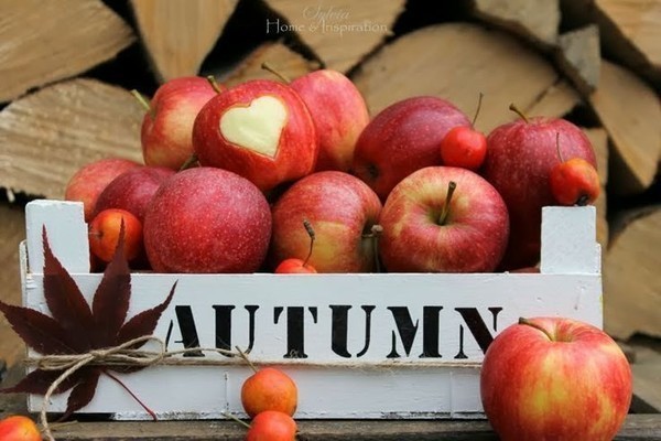 Fruits d'automne ...