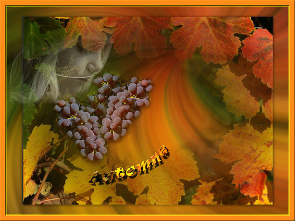 Automne romantique ...