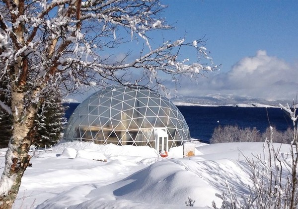 Cette famille vit dans le cercle arctique depuis 2013 !