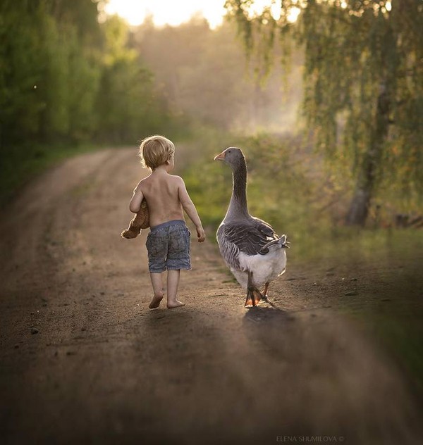 Elena Shumilova   ...    Photographies d'Art !