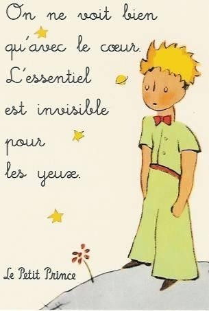 Le Petit Prince   ...   Livre d'Antoine de St Exupéry !
