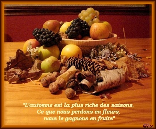 Fruits d'automne    ...