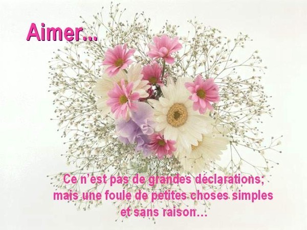 Aimer   ...   c'est cela et bien plus encore !