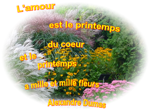 Citation de Alexandre Dumas  ...