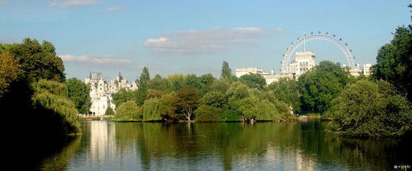 Londres  ...  St James Park le plus ancien parc royal !