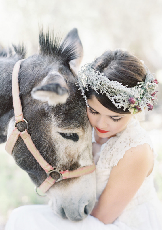 Pour vous   ...   qui aimez les chevaux !