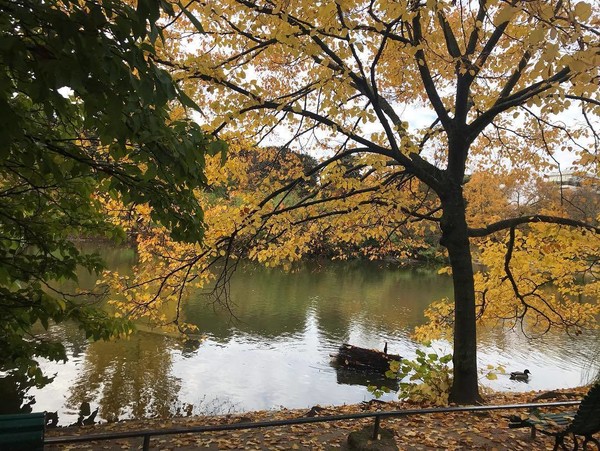 Parc Montsouris : jolie balade automnale à Paris  ...