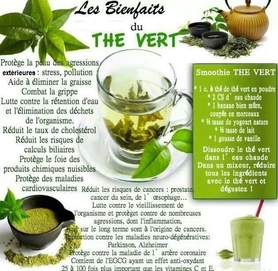 Les bienfaits du THE VERT    ...