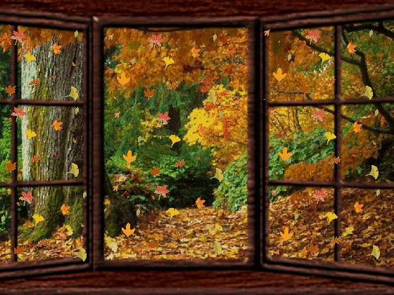 joli paysage aux couleurs de l automne