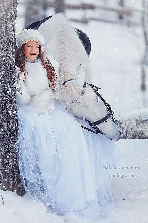 Pour vous qui aimez les chevaux ...