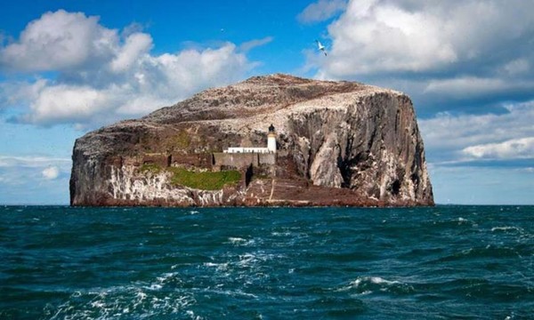 L’île Bass Rock, en Écosse   ...