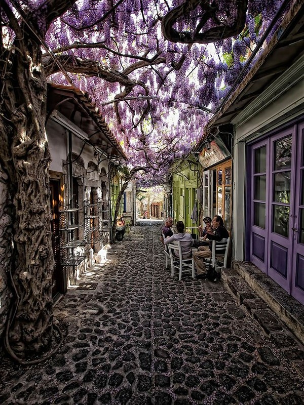 Les plus belles rues fleuries  ...  à travers le monde !
