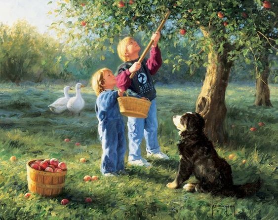 C'est le temps de la cueillette des pommes ...
