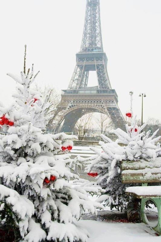 Un Noël blanc à Paris ... juste un rêve !