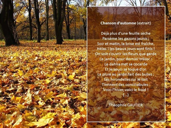 L'automne : la saison préférée des Poètes !