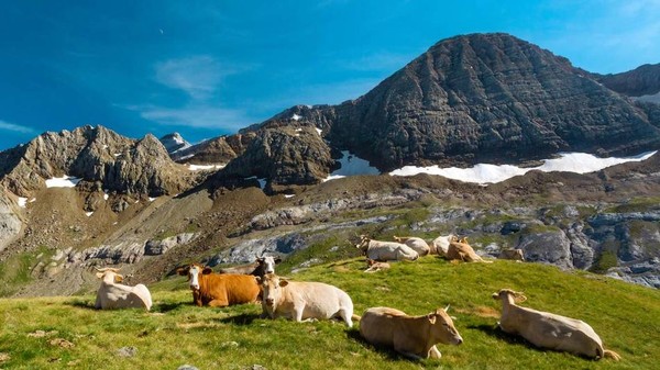 Col des Tentes    ...    Hautes-Pyrénées !