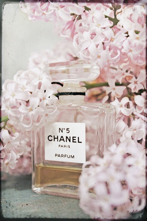 CHANEL n°5   ...    le parfum par excellence  !
