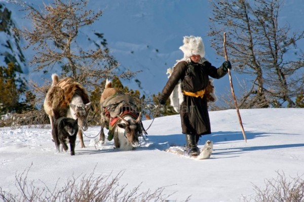 Le peuple Doukha de Mongolie est si fascinant  ...