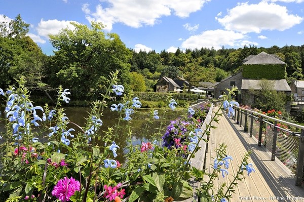 Balade florale en terre bretonne   ...   La Gacilly !