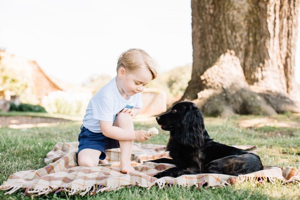 Le prince George, 3 ans et déjà tout d'une star !