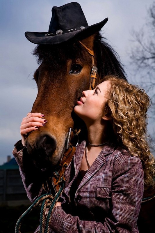 Pour vous qui aimez les chevaux   ...