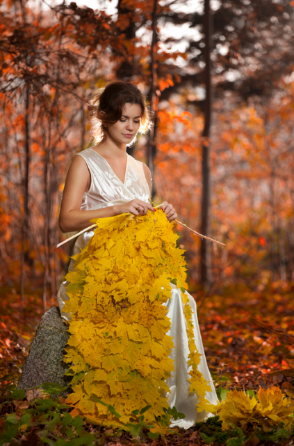 Belle semaine   ...  aux couleurs de l'automne  !