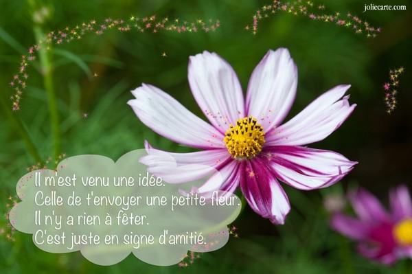 Une petite fleur d'Amitié pour toi   ...  qui passes ici !  