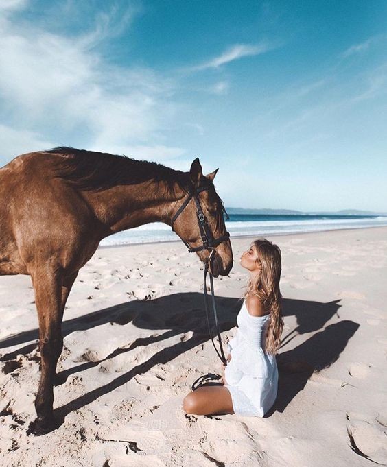 Pour vous qui aimez les chevaux    ...