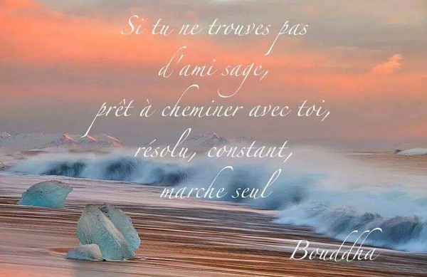 Sage pensée de Bouddha    ...