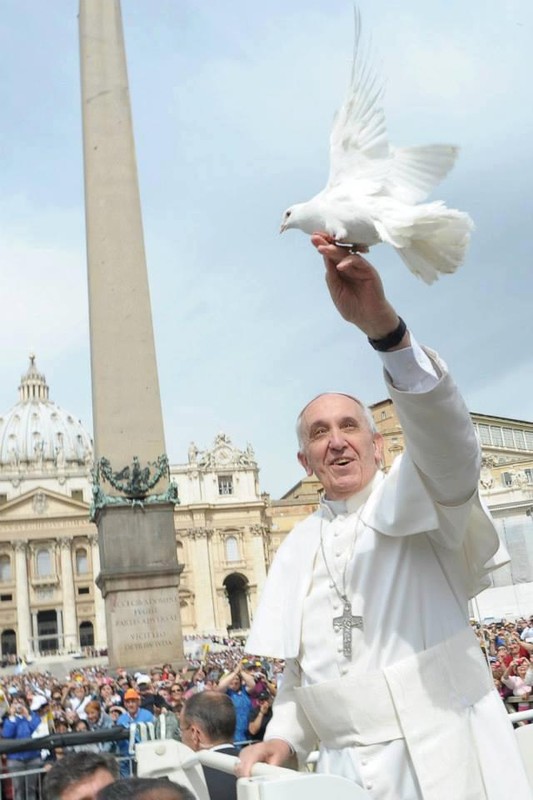 Journée Mondiale de la Paix   ...   Message du Pape !